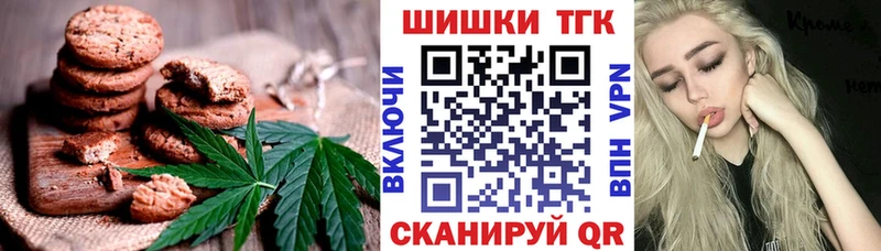 Купить закладки  Электросталь  Canna-Cookies конопля 