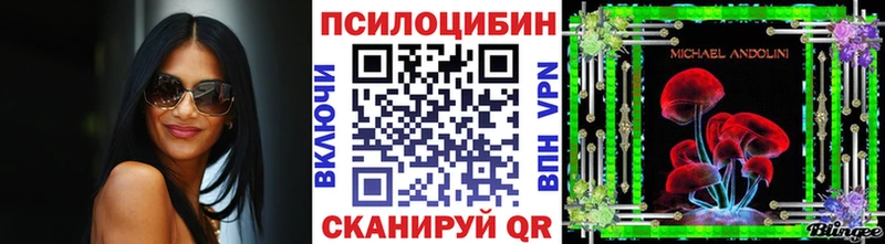 Купить где  Электросталь  Галлюциногенные грибы Magic Shrooms 